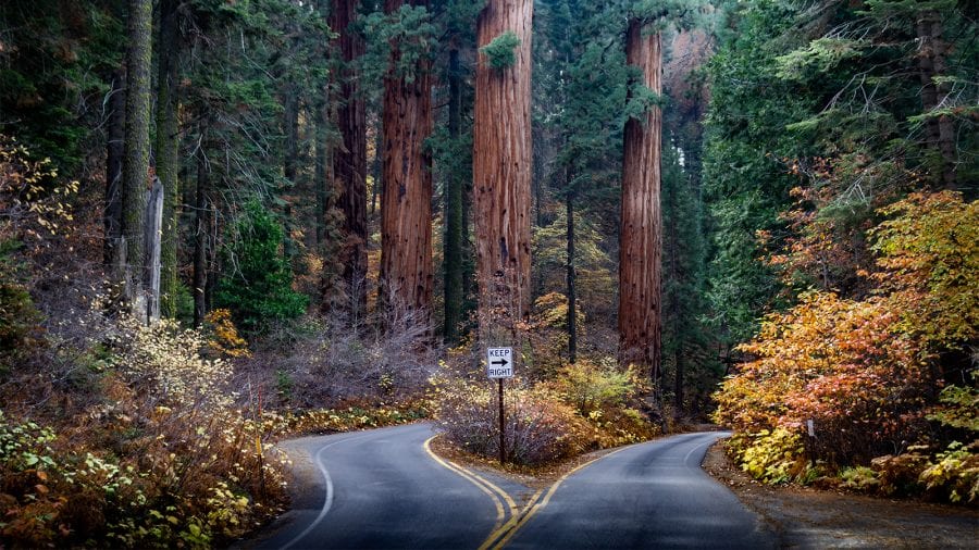 Sequoia and Kings Canyon National Park - Fall