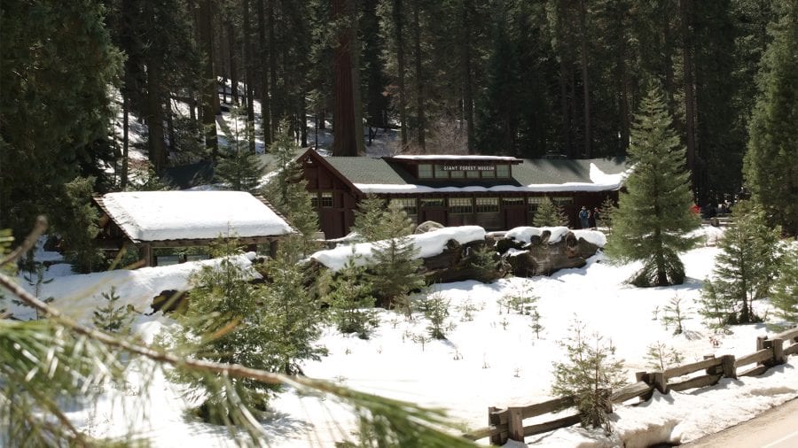 Giant Forest Museum at Sequoia and Kings Canyon National Parks