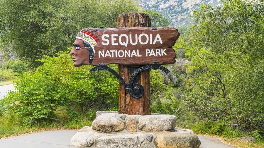 Guide to Sequoia & Kings National Park
