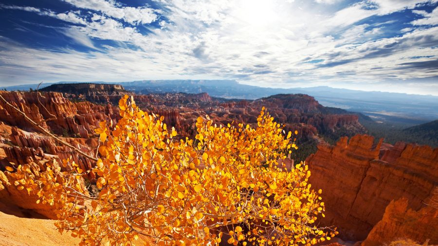Bryce Canyon National Park - Fall