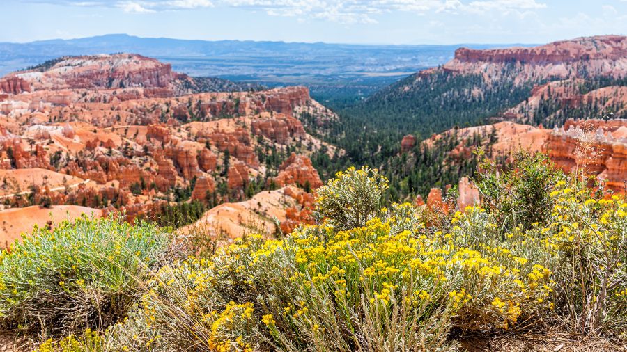 Bryce Canyon National Park - Spring