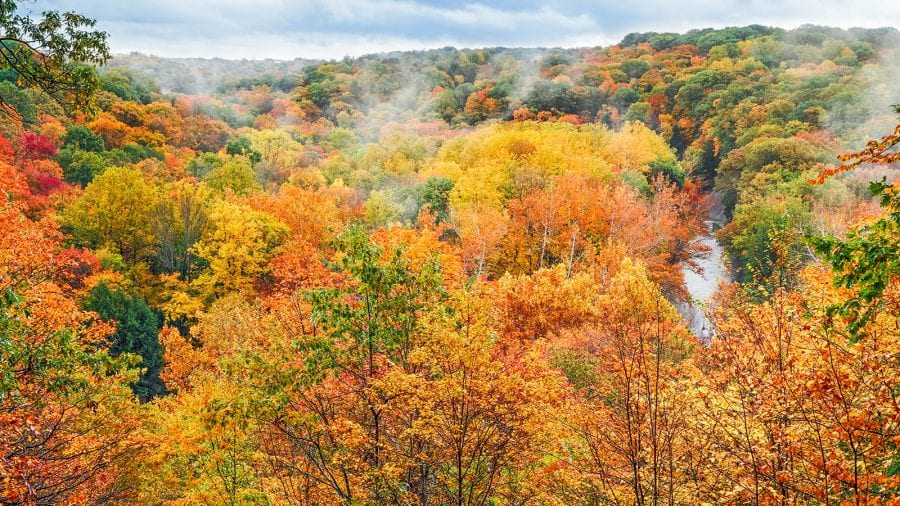 Cuyahoga Valley National Park - Fall