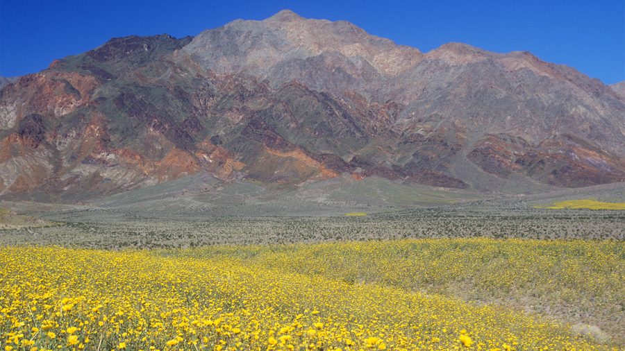 Death Valley National Park - Spring