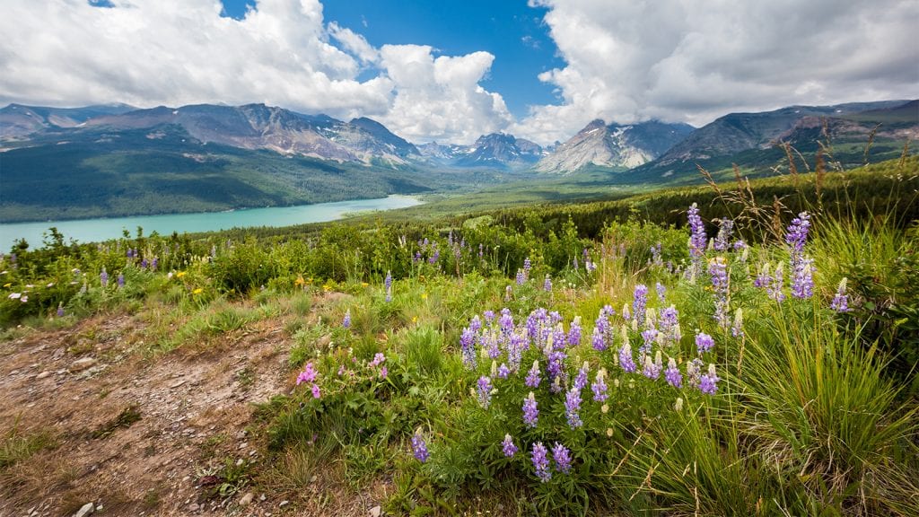 Glacier National Park Seasons and Weather The Geeky Camper