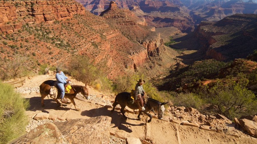 Grand Canyon National Park - Horseback Riding