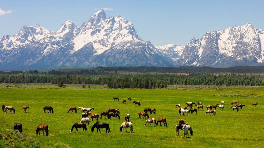 The Best Things to Do in Grand Teton National Park