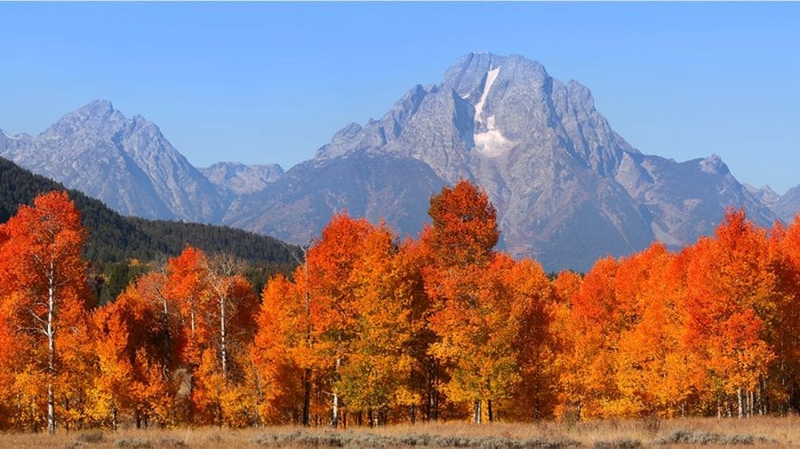 The Best Hikes in Grand Teton National Park