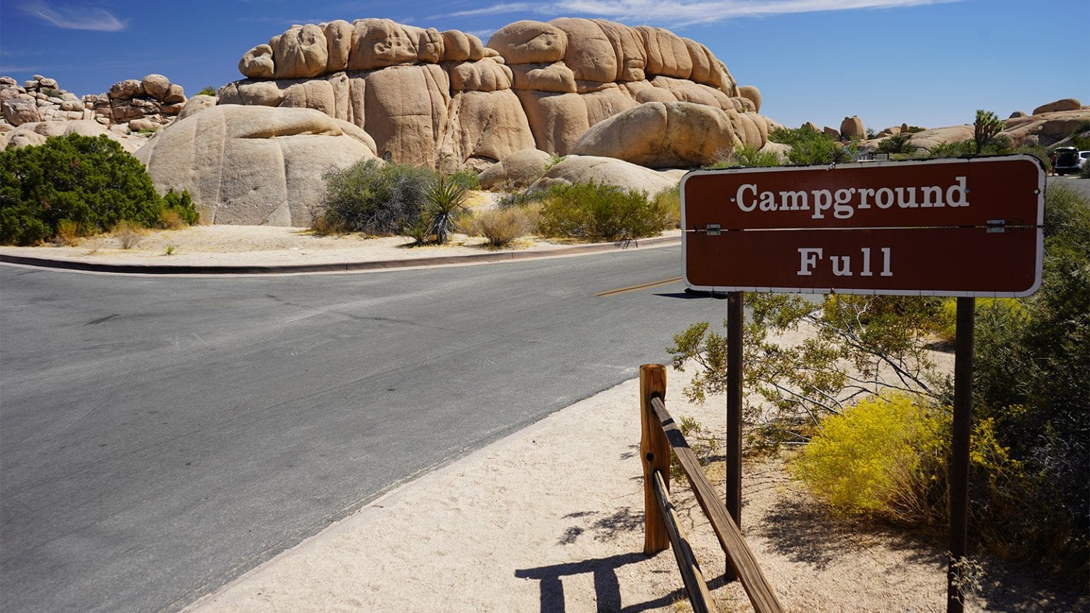 The Best Campgrounds In Joshua Tree National Park The Geeky Camper