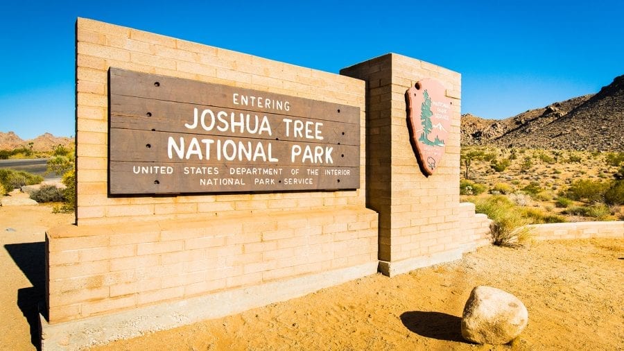 Guide to Joshua Tree National Park