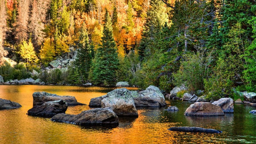 Rocky Mountain National Park - Fall