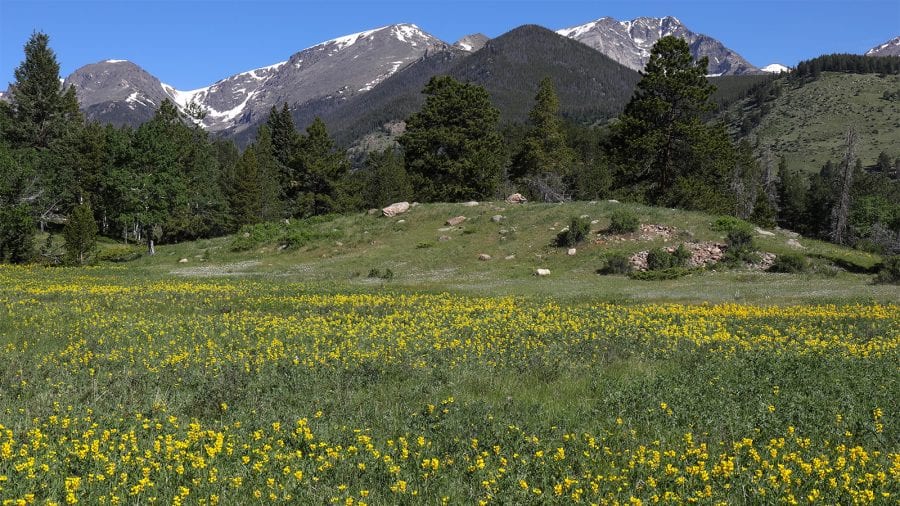 Rocky Mountain National Park - Spring