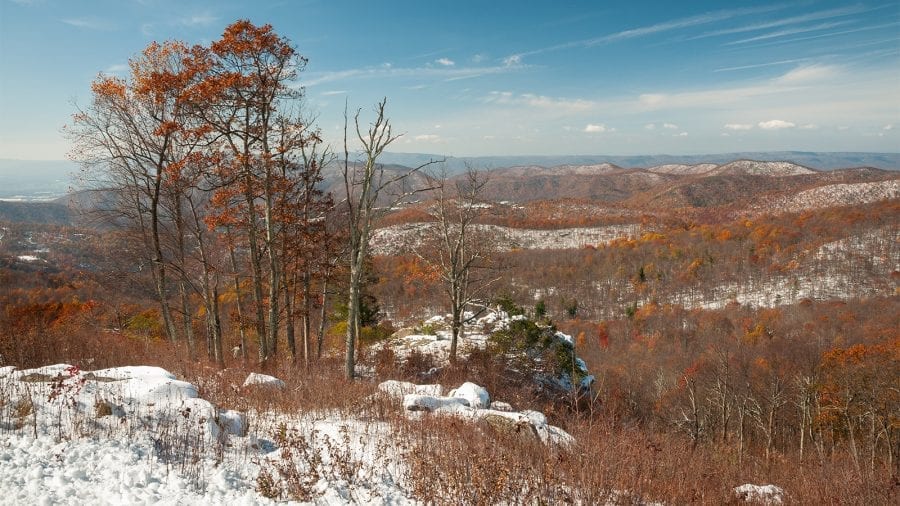 Snowy Views at Shenandoah National Park