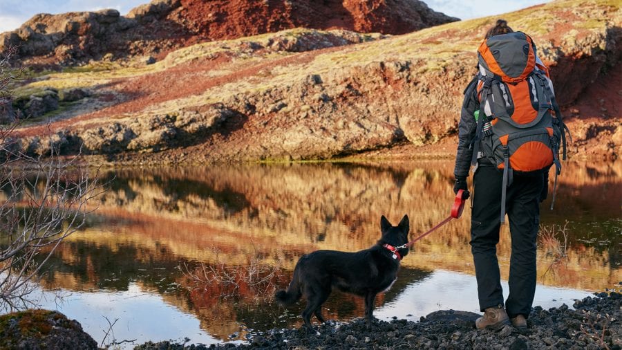 Assess your pup’s readiness for a wilderness adventure