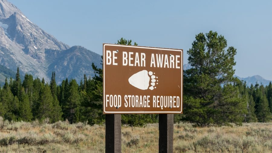 Be bear aware​