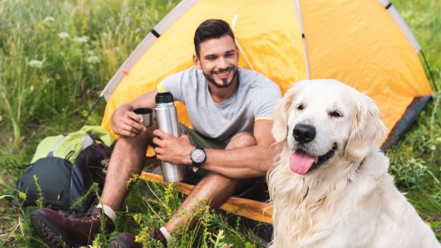 Find dog-friendly campsites and areas