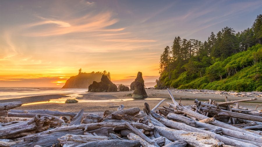 Best Time to Visit in Olympic National Park