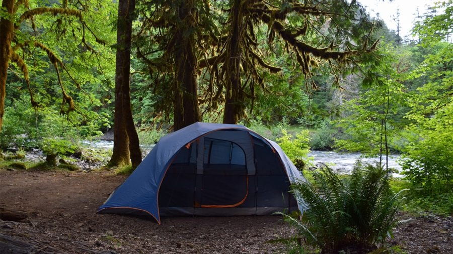 Olympic National Park Camping