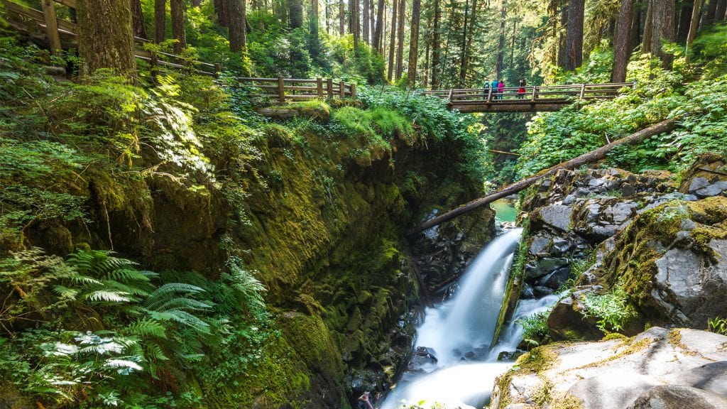 The Best Hikes In Olympic National Park The Geeky Camper