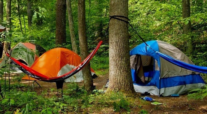 Tent vs Hammock