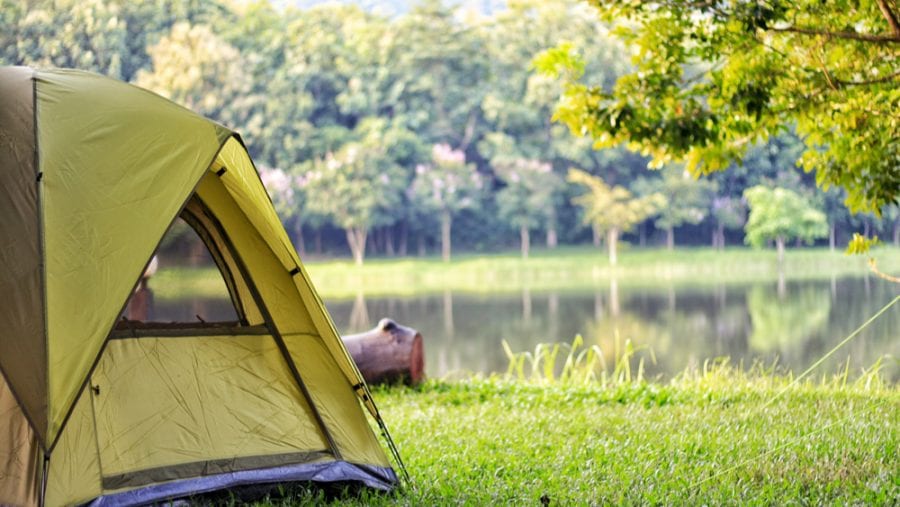 green camping tent in forest