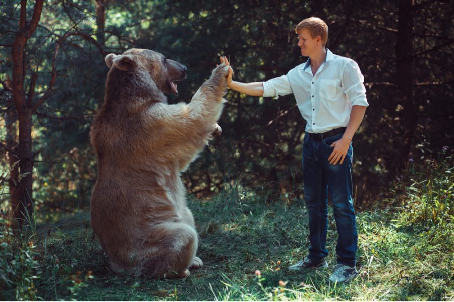 man giving bear a high five