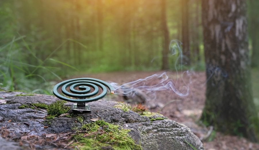 Using A Mosquito Coil During Camping
